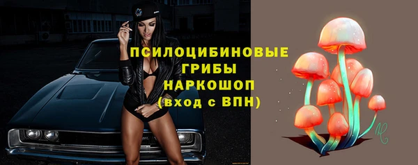 твердый Коряжма