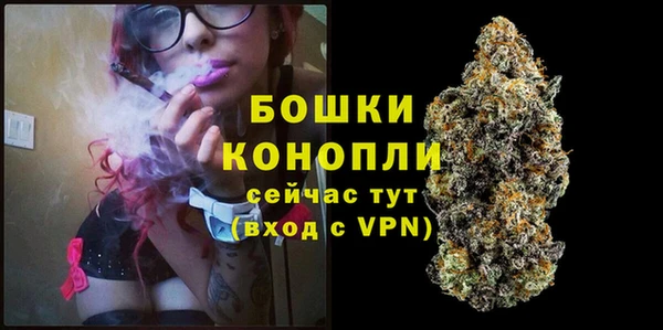 твердый Коряжма