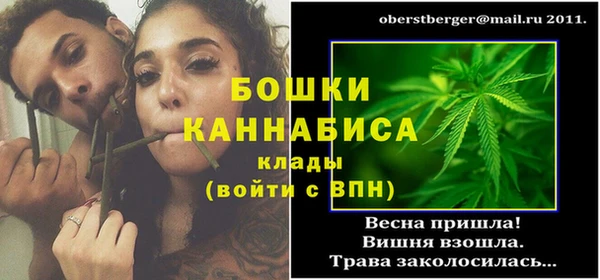 твердый Коряжма