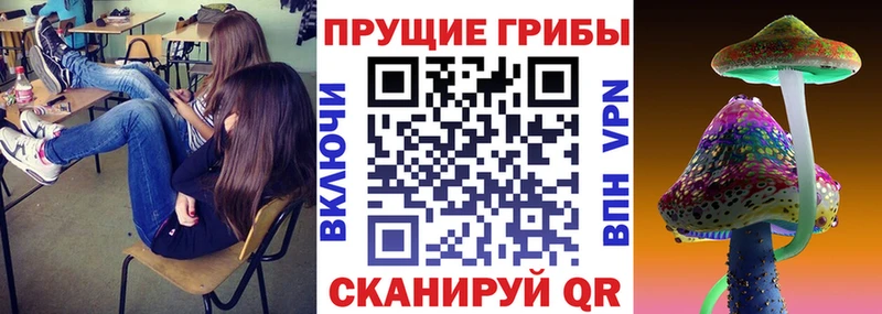 Псилоцибиновые грибы MAGIC MUSHROOMS  Купить закладки  Юрьевец 